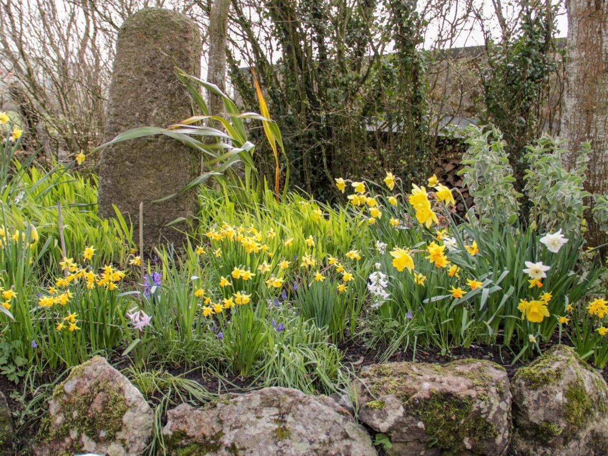 LlandyfrydogThe Stables别墅 外观 照片